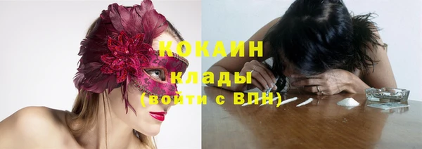 дживик Карпинск
