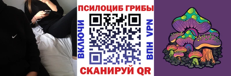 купить наркотик  Ачинск  Галлюциногенные грибы Psilocybe 